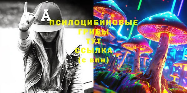 дмт Алексин