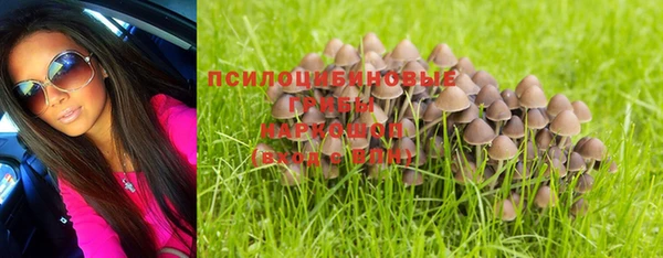 дмт Алексин