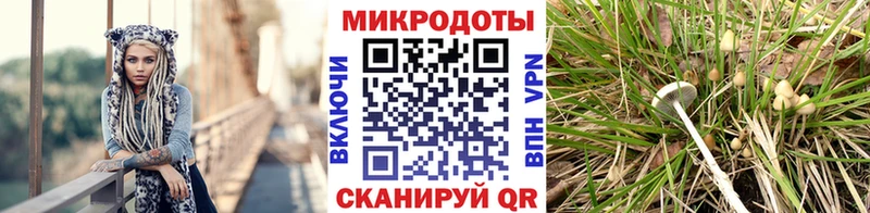 Псилоцибиновые грибы GOLDEN TEACHER  Йошкар-Ола 